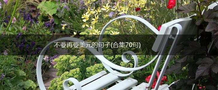 不要再要美元的句子(合集70句),第1张