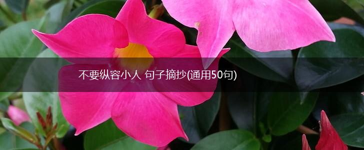 不要纵容小人 句子摘抄(通用50句),第1张