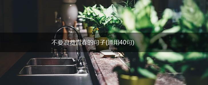 不要浪费青春的句子(通用40句),第1张