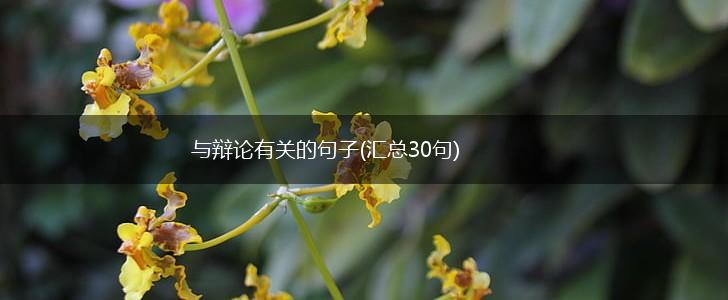 与辩论有关的句子(汇总30句),第1张