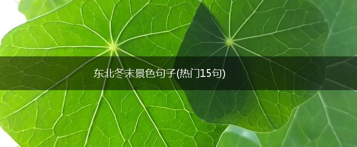 东北冬末景色句子(热门15句),第1张