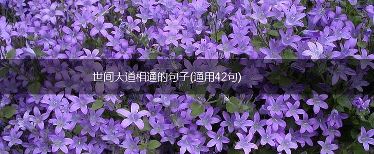 世间大道相通的句子(通用42句),第1张