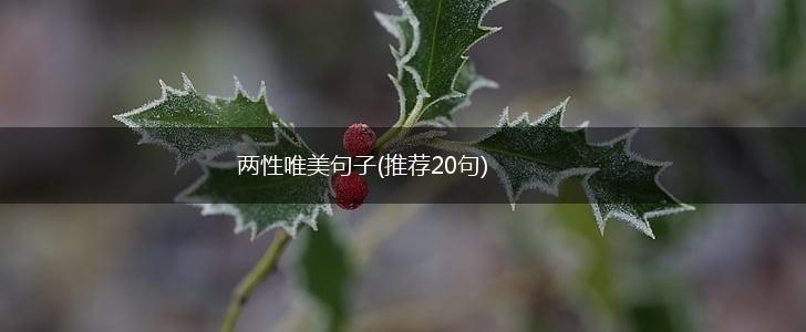 两性唯美句子(推荐20句),第1张