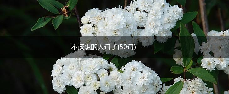 不该想的人句子(50句),第1张