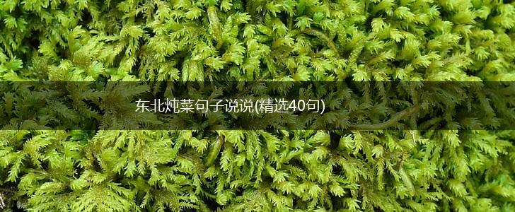 东北炖菜句子说说(精选40句),第1张