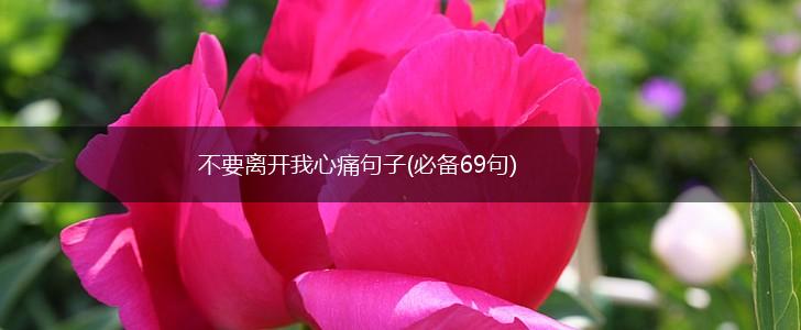 不要离开我心痛句子(必备69句),第1张