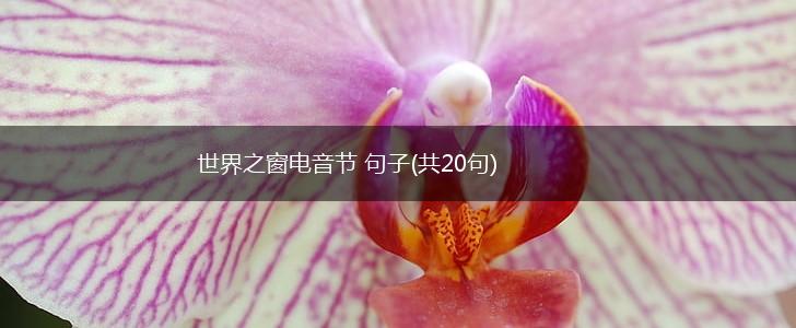 世界之窗电音节 句子(共20句),第1张