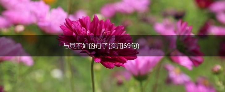 与其不如的句子(实用69句),第1张