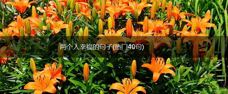 两个人幸福的句子(热门40句),第1张
