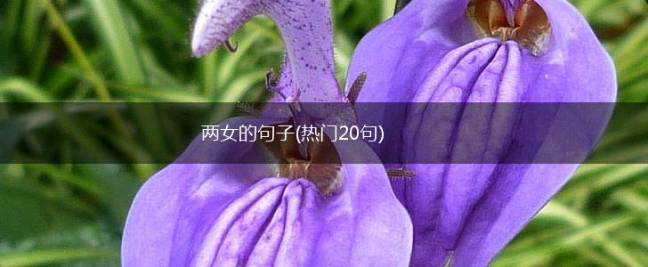 两女的句子(热门20句),第1张