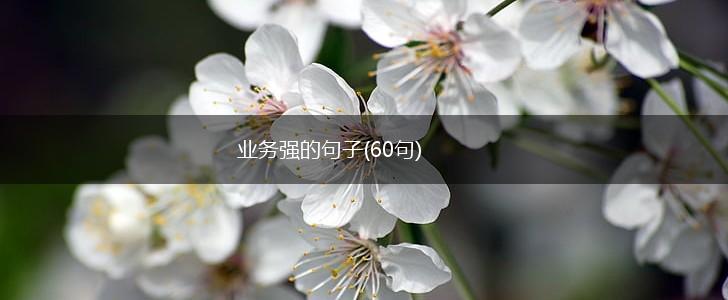 业务强的句子(60句),第1张