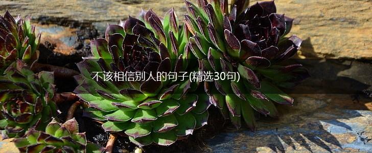 不该相信别人的句子(精选30句),第1张