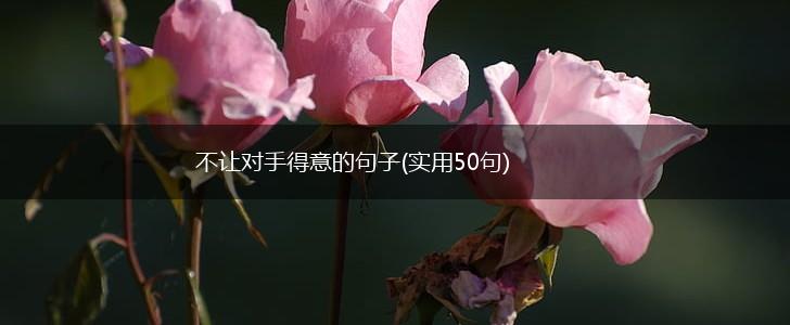 不让对手得意的句子(实用50句),第1张