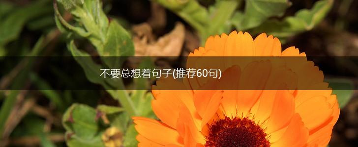 不要总想着句子(推荐60句),第1张