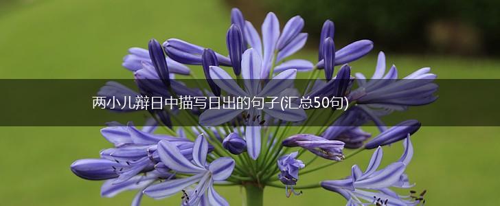 两小儿辩日中描写日出的句子(汇总50句),第1张