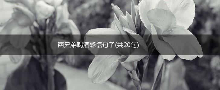 两兄弟喝酒感悟句子(共20句),第1张