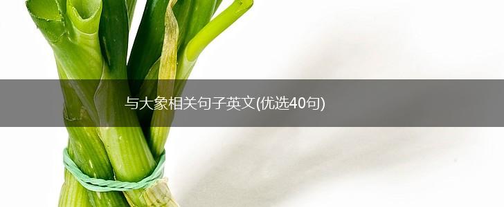 与大象相关句子英文(优选40句),第1张