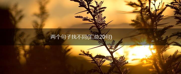 两个句子找不同(汇总20句),第1张