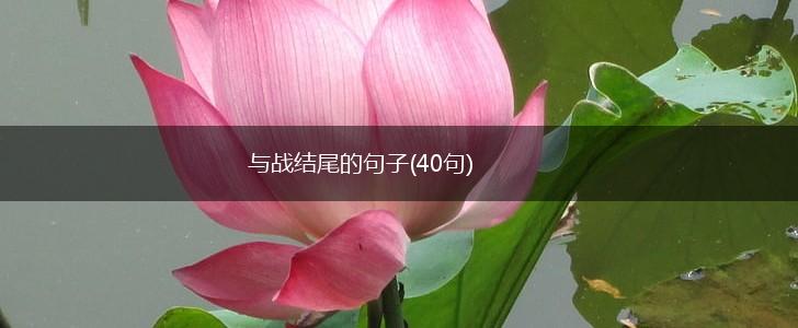 与战结尾的句子(40句),第1张