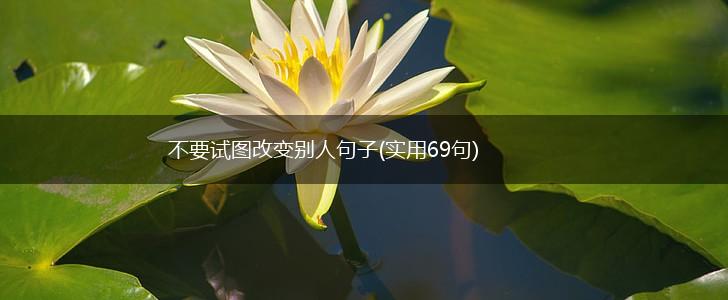 不要试图改变别人句子(实用69句),第1张