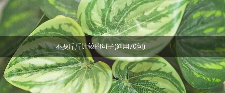 不要斤斤计较的句子(通用70句),第1张