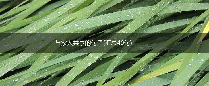 与家人共享的句子(汇总40句),第1张