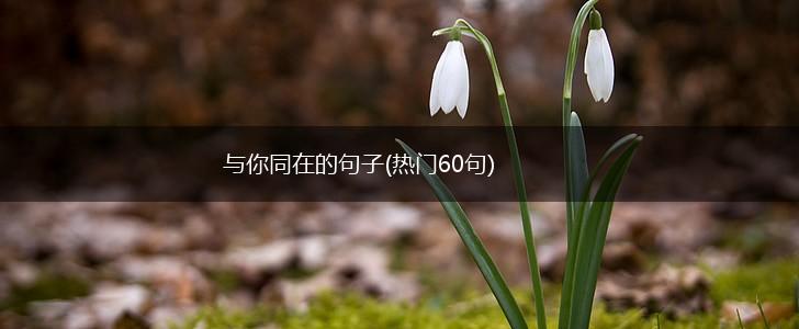 与你同在的句子(热门60句),第1张