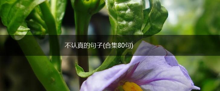 不认真的句子(合集80句),第1张