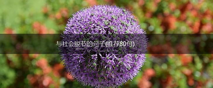 与社会脱节的句子(推荐80句),第1张