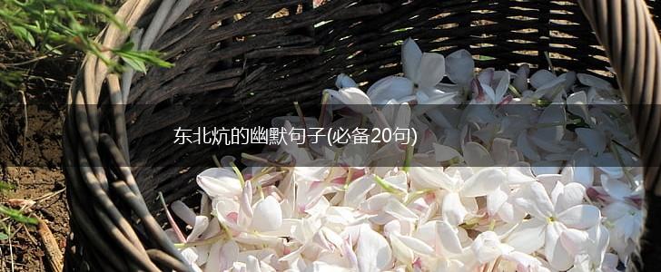 东北炕的幽默句子(必备20句),第1张