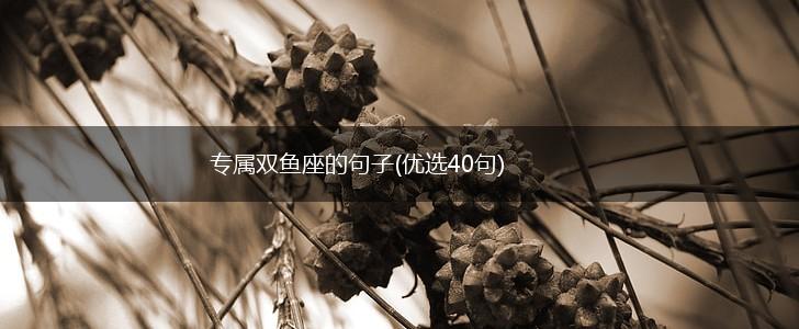 专属双鱼座的句子(优选40句),第1张