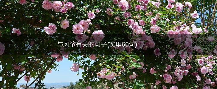 与风筝有关的句子(实用60句),第1张