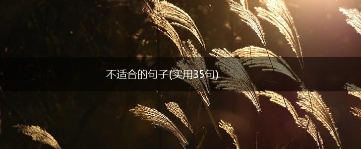 不适合的句子(实用35句),第1张