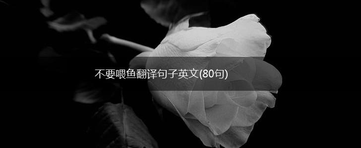 不要喂鱼翻译句子英文(80句),第1张