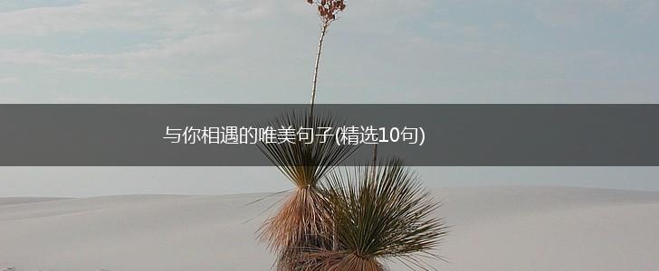 与你相遇的唯美句子(精选10句),第1张