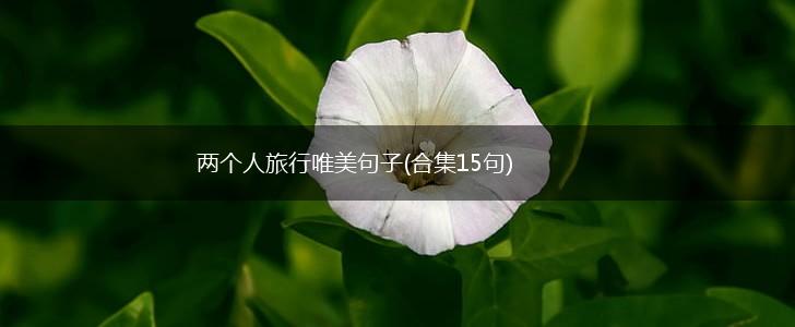 两个人旅行唯美句子(合集15句),第1张