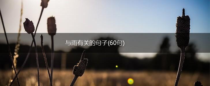 与雨有关的句子(60句),第1张