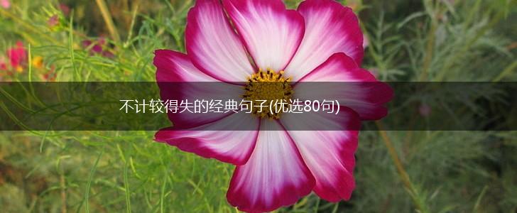 不计较得失的经典句子(优选80句),第1张