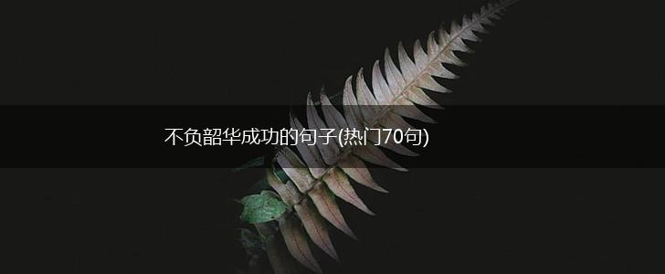 不负韶华成功的句子(热门70句),第1张