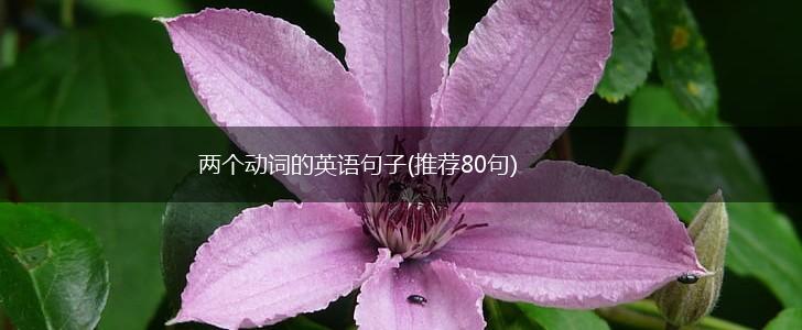 两个动词的英语句子(推荐80句),第1张
