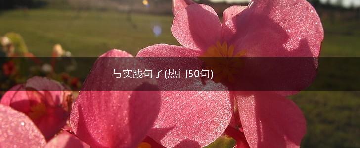 与实践句子(热门50句),第1张