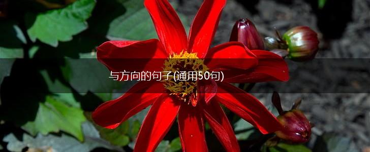 与方向的句子(通用50句),第1张