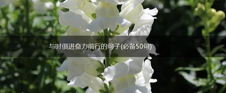 与时俱进奋力前行的句子(必备50句),第1张