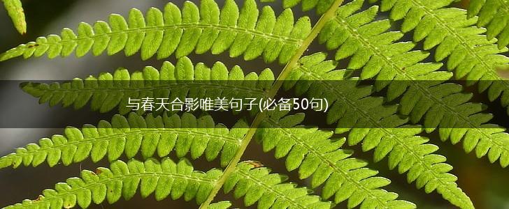 与春天合影唯美句子(必备50句),第1张