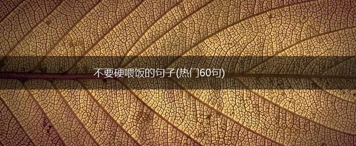 不要硬喂饭的句子(热门60句),第1张