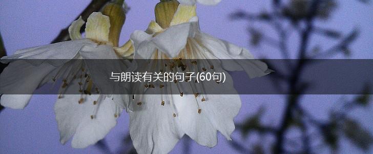 与朗读有关的句子(60句),第1张