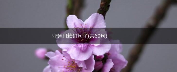 业务日精进句子(共60句),第1张