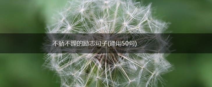 不骄不躁的励志句子(通用50句),第1张