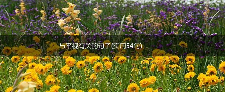 与平视有关的句子(实用54句),第1张