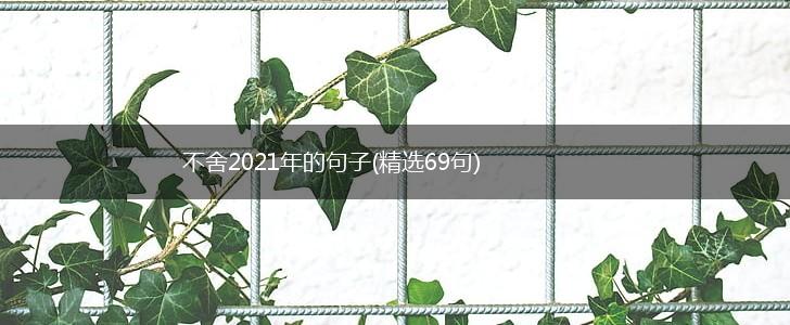 不舍2021年的句子(精选69句),第1张